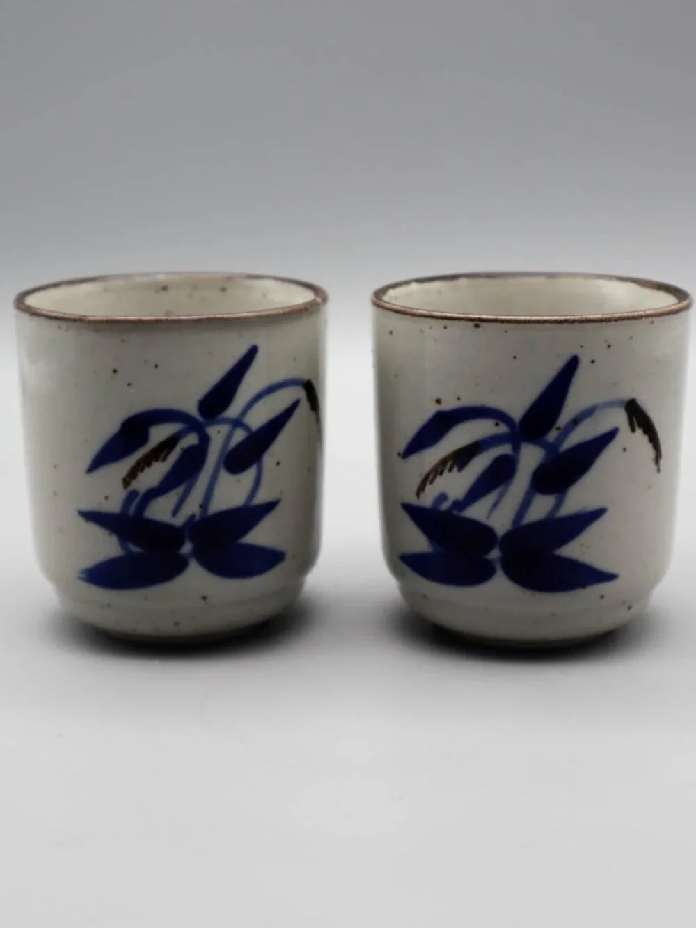2 Japanese Pottery Yunomi Tea Cups Sake Set Speckled Blue Floral Botanical